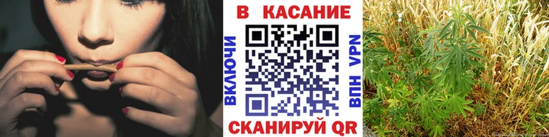 Купить Пыть-Ях Псилоцибиновые грибы СК ГАШИШ Бутират Бошки Шишки