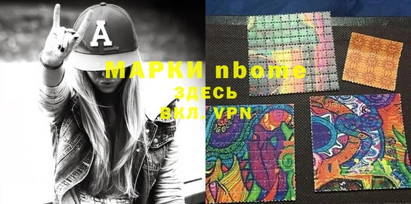 шишки Богородицк