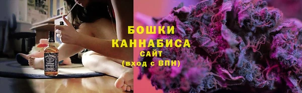 гидра Богородск