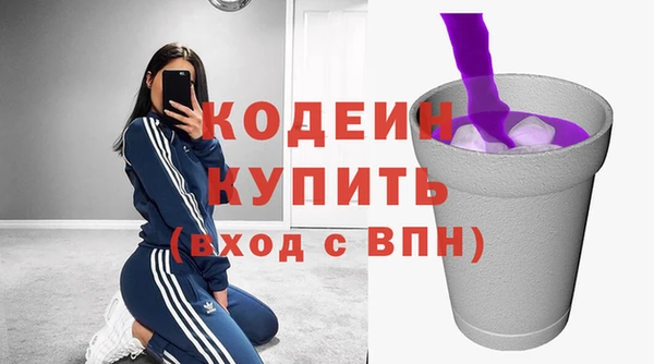шишки Богородицк