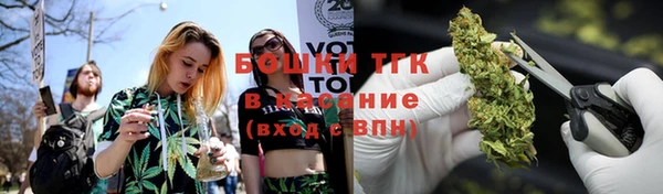 гидра Богородск