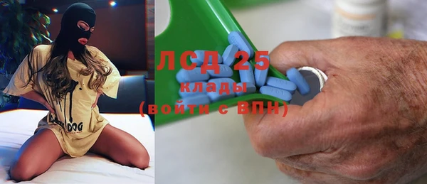 шишки Богородицк
