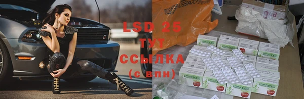 шишки Богородицк