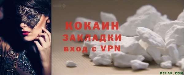 гидра Богородск