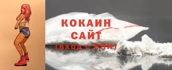 молекула духа Богданович