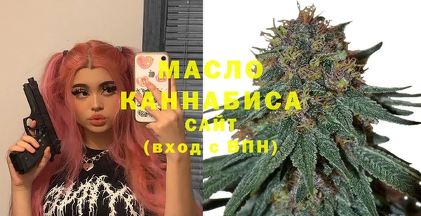 гидра Богородск