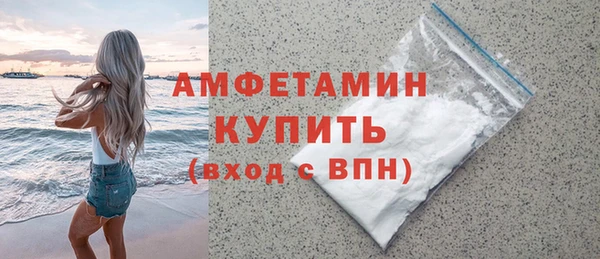 гидра Богородск