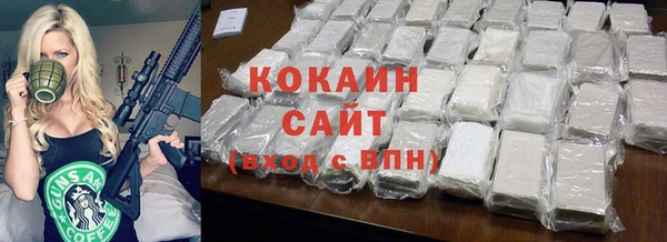 гидра Богородск