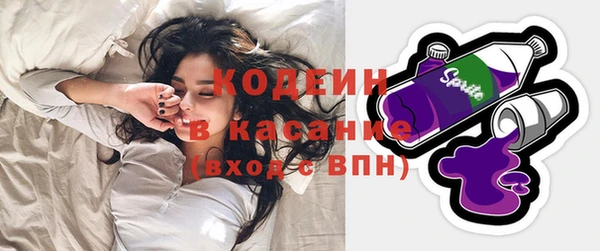 шишки Богородицк