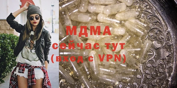 молекула духа Богданович